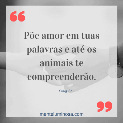 Amor1 Amor1