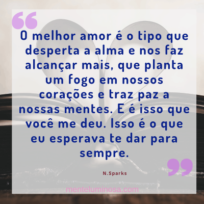 amo14 amo14