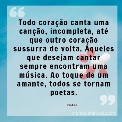 amo15 amo15