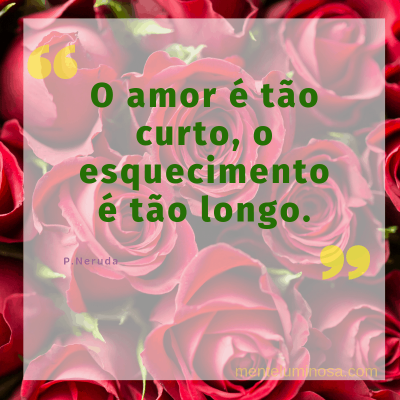 amo18 amo18