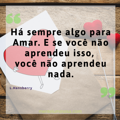 amo23 amo23