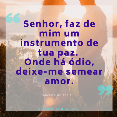 amo24 amo24