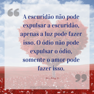 amo3 amo3