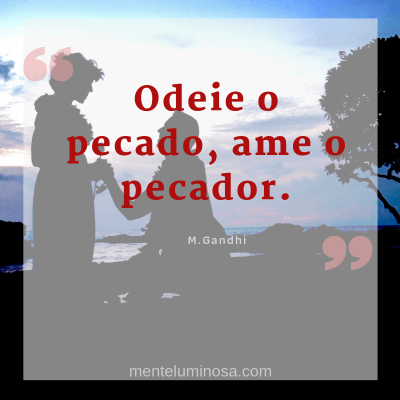 amo34 amo34