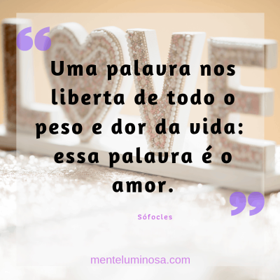 amo41 amo41