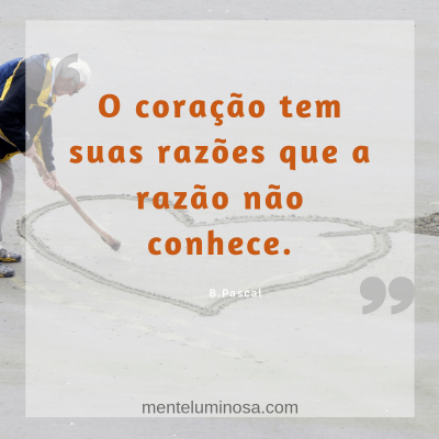 amo42 amo42