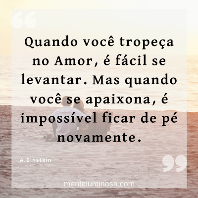 amo44 amo44