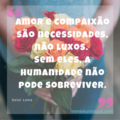 amor 50 amor 50