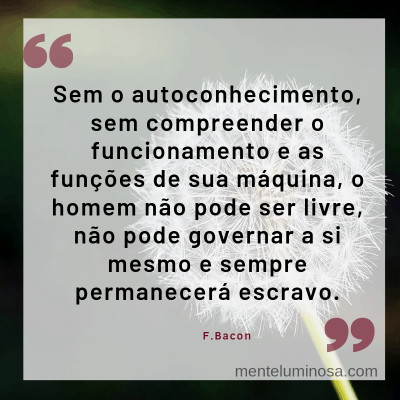 autoc4 autoc4