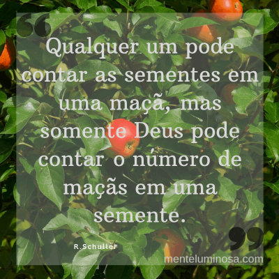 deu42 deu42