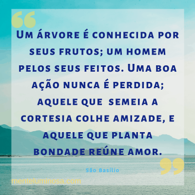 refl15 refl15