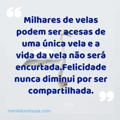 refl40 refl40